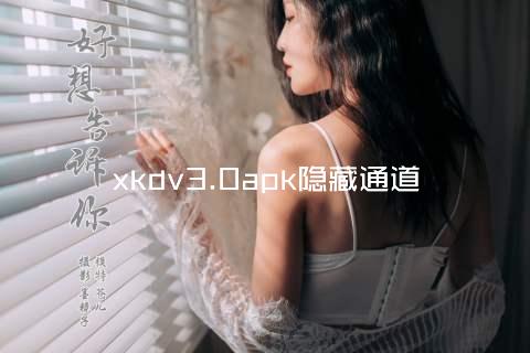 xkdv3.0apk隐藏通道